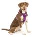 Kurgo Tru-Fit Dog Harness Crash Tested Car Seat Belt For Dogs 2-5 kg Size M Purple Purple M