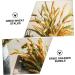 Alipis 3pcs Simulated Ears of Corn Dried Grasses Bundle Home D cor Dried Millet Home Accessories Decor Faux Plants Artificial Plant Home Decor Millet Decor Paddy Artificial Grass Iron Greenx3pcs 12X75CMx3pcs - Buy Online on GoSupps.com