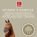 Vitamin B Complex for Horses - 1L Liquid | High Dose B1 B2 B6 B12 | Supports Muscles Immune System Nerve Energy & Metabolism - Buy Online on GoSupps.com