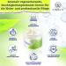 P-Beauty 42% Urea Cream | 2% Salicylic Acid | 150g Urea Foot Cream | With Aloe Vera Tea Tree Oil for Deep Hydration and Skin Softening - Buy Online on GoSupps.com