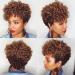 QITAQOTA Pixie Cut Short Curly Wig for Black Women - Afro Funmi Style V124G2H - Buy Online on GoSupps.com