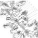 Gogogmee Crystal Hair Accessories Sparkly Hair Comb Bride Hair Side Comb Bridal Hair Comb Wedding Hair Accessories Sparkly Hair Accessories Rhinestone Hair Comb for Bridal Bride Hair Comb - Buy Online on GoSupps.com
