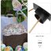 ABOOFAN 7pcs Graduation Cake Toppers - Class of 2024 Mini Graduation Caps Cupcake Picks for Party Decor - Buy Online on GoSupps.com