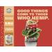 Manitoba Harvest Hemp Seeds 2.1oz (Pack of 12) - Plant Based Protein, Omega 3 & 6 for Smoothies, Yogurt & Salad | Non-GMO, Vegan, Keto, Paleo, Gluten Free - Buy Online on GoSupps.com