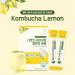  30Sticks  Kombucha Lemon Flavor Sparkling Tea Probiotics And Prebiotics Powder Supplement  Immune Support and Gut Health Fermented Drink Mix Sticks (30 Count * 1 Pack) 30 Count (Pack of 1) - Buy Online on GoSupps.com