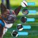 Fwlwtwss Dog Muzzle - Adjustable Rounded Mesh for Small Medium & Large Dogs | Prevents Biting Chewing & Barking - Buy Online on GoSupps.com