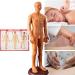 54cm Acupuncture Doll Human Body Acupoint Teaching Model Easy to Move with Point Book/Wall Charts Not Easy to Be Damaged Acupuncture Points Display A