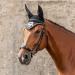 SUNRIDE Hanoverian Bridle with Reins - Premium Genuine Leather for Relaxed Riding - Black Pony Size - Buy Online on GoSupps.com