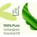 Plant Therapy Lemongrass Essential Oil 100% Pure Undiluted Natural Aromatherapy for Diffuser and Skin Therapeutic Grade 30 mL (1 oz) Lemongrass 1 Fl Oz (Pack of 1) - Buy Online on GoSupps.com