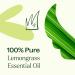 Plant Therapy Lemongrass Essential Oil 100% Pure Undiluted Natural Aromatherapy for Diffuser and Skin Therapeutic Grade 10 mL (1/3 oz) - Buy Online on GoSupps.com
