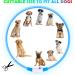 Shop Auauy LED Light Neck Band for Dogs & Cats - USB Charging Adjustable Waterproof Luminous | 3 Modes (Blue) Pet Security Collar - Buy Online on GoSupps.com