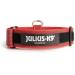 Julius K9 Color & Gray Series Adjustable Neck Band with Handle - 50mm (49-70cm) - Safety Closure - Red-Gray for Dogs - Buy Online on GoSupps.com