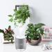 500ML Cool Mist Humidifier for Plants - Quiet Air, Two Modes, Night Light, Auto-Off - Grey - Buy Online on GoSupps.com