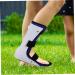 Buy Fixed Shoe Foot Sprain Braces & Ankle Support Sleeves - Women & Men - Plantar Protection for Sports & Foot Care - Buy Online on GoSupps.com