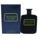Trussardi Riflesso Blue Vibe Men EDT Spray 3.4 oz 3.4 Ounce (Pack of 1)