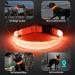 KOSKILL LED Dog Collar - Waterproof Adjustable & Bright | USB Rechargeable | Perfect for Medium & Large Dogs (Orange M) - Buy Online on GoSupps.com