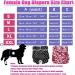 High-Suction Washable Dog Diapers for Bitches - 2 Pack | Ultimate Leak Protection - Buy Online on GoSupps.com