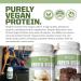 Gaspari Nutrition Proven Vegan Protein - Organic Gluten-Free Soy-Free Non-GMO (2lbs Vanilla Chai Latte) - Healthy Plant-Based Protein Powder - Buy Online on GoSupps.com