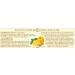 De Cecco Egg Fettuccine No.103 8.8 oz - Pack of 4 | Imported Italian Pasta - Buy Online on GoSupps.com