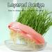 KASESSS Cat Grass Planter Soil Free Hydroponic Cat Grass Tray Round Catnip Cat Grass Box Indoor Cat Plant Planting Box Plastic Cat Grass Sprouting Trays for Cats Dogs and Other Pets (Pink) - Buy Online on GoSupps.com