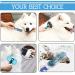 Pet Hair Remover Brush Bundle - Deshedding Brush, Undercoat Rake, Slicker Brush, Stainless Steel Comb - Dog and Cat Grooming Tool Set for Long, Medium, Short Hair - Blue - Buy Online on GoSupps.com