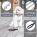 Petom Strong Metal Dog Leash - 120cm with PU Leather & Padded Handle for All Dog Sizes - Buy Online on GoSupps.com