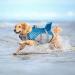 Shark Shape Dog Life Jacket - Blue L | Adjustable & Safe Swimming Vest for Pool & Beach - Buy Online on GoSupps.com