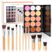 FantasyDay 15 Colors Concealer Palette & Brush Set - High Opacity Full Coverage Color Corrector & Contour Kit for Flawless Skin - Buy Online on GoSupps.com