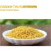 CAPACITEA Osmanthus Flower Herb Tea 20g - Buy Online on GoSupps.com