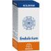 HoloRam Endokrium 60 capsules. Bio-regulator of the endocrine system. - Buy Online on GoSupps.com