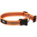 Buy Julius-K9 220CG-OR Color & Gray Collar - 20mm (27-42cm) Orange-Gray | International Shipping Available - Buy Online on GoSupps.com