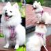 Suredog Premium Dog Harness for Small Dogs - Reflective Breathable with Leash - Pink Checkered (Medium) - Perfect for Puppies & Small to Medium Breeds - Buy Online on GoSupps.com