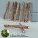 onebarleycorn Cat Catnip Toys for Cats Cat nip Toy Sticks Natural Matatabi Kitten Chews Toy Dental Treats Teething Stick for Cats Pack of 20 pcs 20 count (Pack of 1) - Buy Online on GoSupps.com