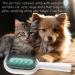 Buy Multifunctional Cat Brush with Water - Perfect for Short Hair & Massage | Blue Pet Hair Removal Comb - Buy Online on GoSupps.com