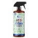 READY STEADY DEFEND Ant Repellent Spray Natural Ant Killer Long-Lasting Formula ersatile for Indoor & Outdoor Use Effective Ant Control Solution - 6.76 Oz
