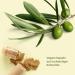 High-Dose Olive Leaf Extract Capsules - 120 Vegan Capsules - 750mg Daily - 300mg Oleuropein - 2-Month Supply - Buy Online on GoSupps.com