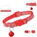 Shop Neuwehe Cat Dishes & Leash Set - Adjustable Harness for Cats & Small Dogs - Leak-Proof Tableware in Red (L) - Buy Online on GoSupps.com