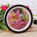 30X Lighted Glass Handheld Reading Magnifier Glass with 12 LED Lights for Seniors & Kids Double Glass Lens - Buy Online on GoSupps.com