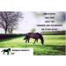 Biteback Products Mudbar Plus Antibacterial Cream with Silver 250g for Muddy & Wet Horse Skin - Buy Online on GoSupps.com