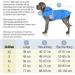 Bella & Balu Waterproof Dog Coat with Hood & Reflectors - XS Gray | Safe & Dry Walks for Your Dog - Buy Online on GoSupps.com