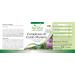 Fairvital Milk Thistle Complex - 120 Capsules with Artichoke and Dandelion - Vegan Bitter Substances - Buy Online on GoSupps.com