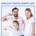 Falcon Toothbrush with Curved Filaments - Deep Reach Medium Bristles | Family Care Pack of 8 - 4 Colors Available - Buy Online on GoSupps.com
