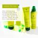 Rene Furterer VOLUMEA Volumizing Conditioner 5.07 oz - Fine Limp Hair, Thickening & Moisturizing - Buy Online on GoSupps.com