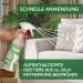 Envira Anti-Smell Spray | Odor Neutralizer for Cat & Dog Urine | Chlorine-Free Odor Remover for Carpets Dog Beds & Home - 500ml - Buy Online on GoSupps.com