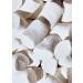 KoRo Vegan Marshmallows 500g - Extra Large Soft & Sweet Vanilla Flavor - International Shipping Available - Buy Online on GoSupps.com