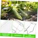 VANZACK 20 Pcs Shaped Growth Mold Fruit Molds Vegetable Molds Decor Cucumbers Star Cucumber Shaper Chocolate Mold Planting Accessories Vegetable Forming Molds Heart-Shaped Tool Container As Shownx5pcs mediumx5pcs - Buy Online on GoSupps.com