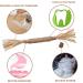 Catnip Chew Toy for Cats | Interactive Silvervine Stick for Kitten Teething | Teeth Cleaning Cat Toy - Buy Online on GoSupps.com