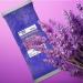 Boston Tech BE106-L Paraffin Wax 3 Kg - Therapeutic Lavender Paraffin for Paraffin Baths - Buy Online on GoSupps.com