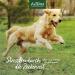 AniForte Tick Shield Tablets Dogs 60pcs - Natural Tick & Flea Treatment for Large Dogs | Easy-to-Use & Effective Repellent for Tick Protection | Chemical-Free Alternative to Flea Killer Sprays - Buy Online on GoSupps.com