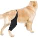 Dog Knee Brace | Dog Back Leg Brace - Back Leg Hip Support with Metal Strip High Elasticity Breathable Leg Protector for Recovery Period Pochy Black X-Small - Buy Online on GoSupps.com